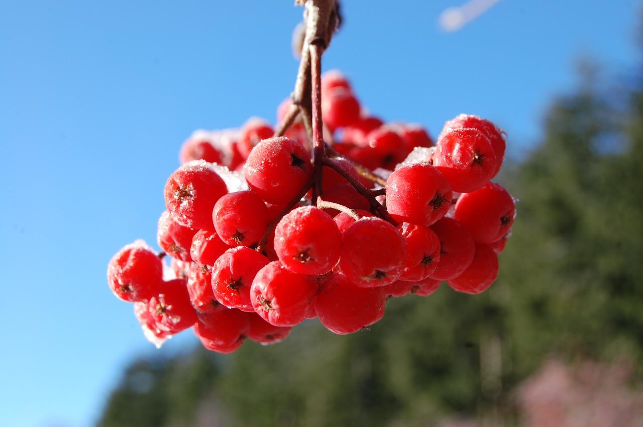 Rifugio Casello Margherita Камилятело Силано Екстериор снимка